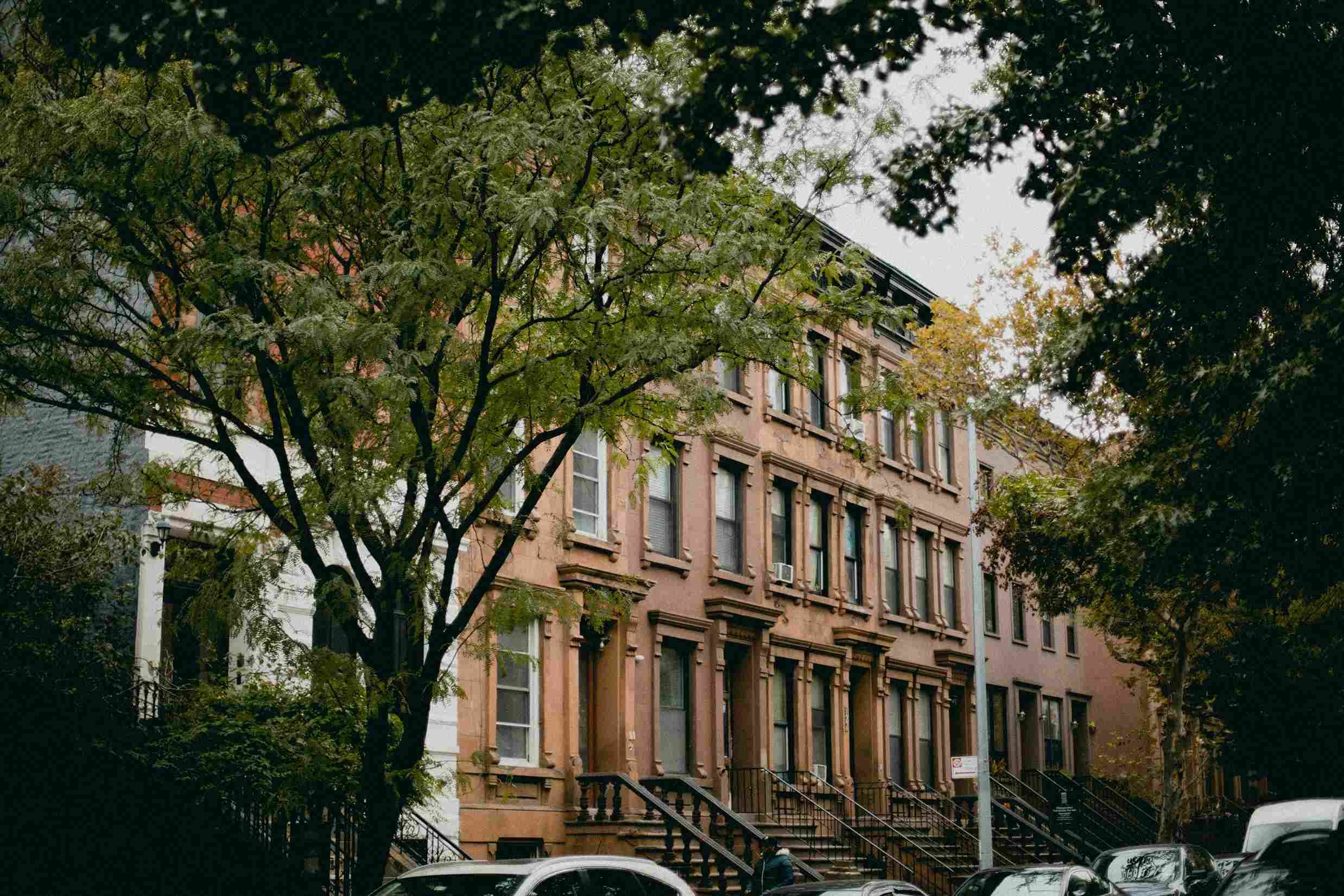 harlem